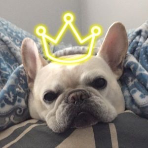 Meet your Posher, Kerry